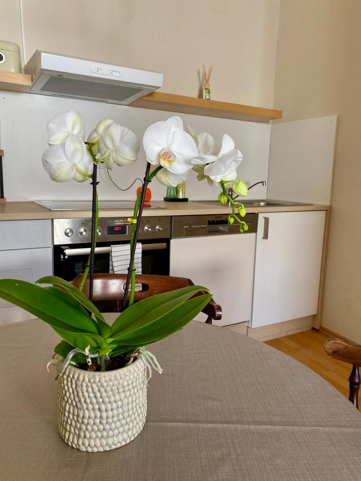 Ba Em City Apartment วิสบาเดน ภายนอก รูปภาพ